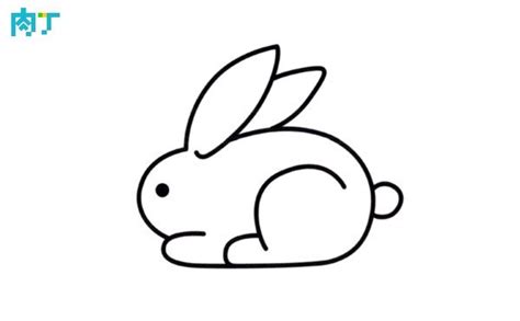 貓來家裡生孩子風水 簡單兔子畫法